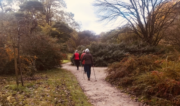 Nordic walking techniekles in het park