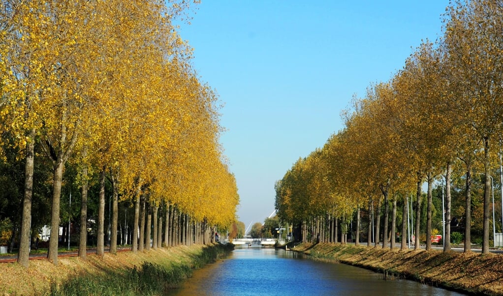 Nellie Bartels een karakteristiek beeld voor Haarlemmermeer vast: de Hoofdvaart bij Nieuw-Vennep. 