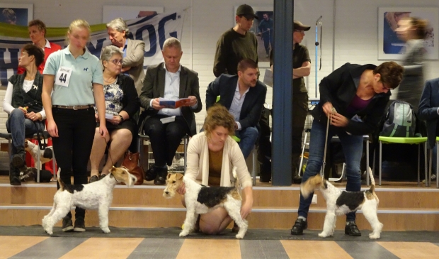 KCM N.F.C. 2016