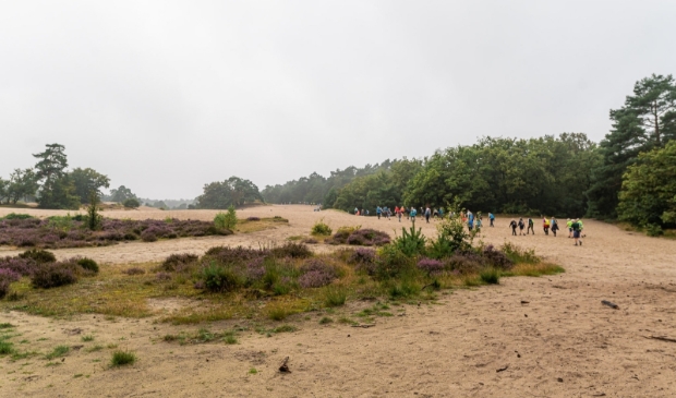 <p>Onder meer de Soester duinen liggen op de route van de alternatieve Roparun.</p>