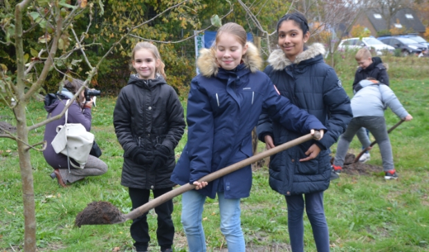 <p>Groep zeven van De Bron plant bomen en struiken in het voedselbosje naast de Wezeper Veste.</p>