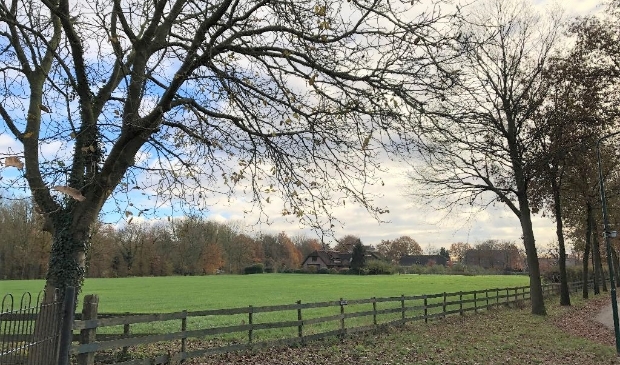 <p>Blik op locatie Hoenderik vanaf einde Camminghalaan</p>