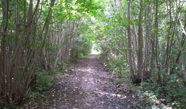 <p>Landgoed Rijnwijk</p>