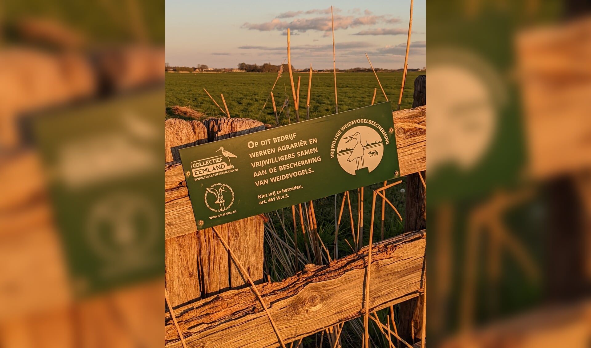 Weidevogelbeheer infobord