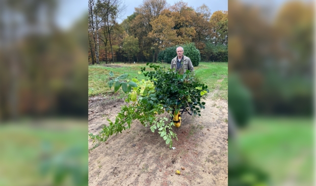 <p>Een van de vrijwilligers die met boompjes werkt. </p>