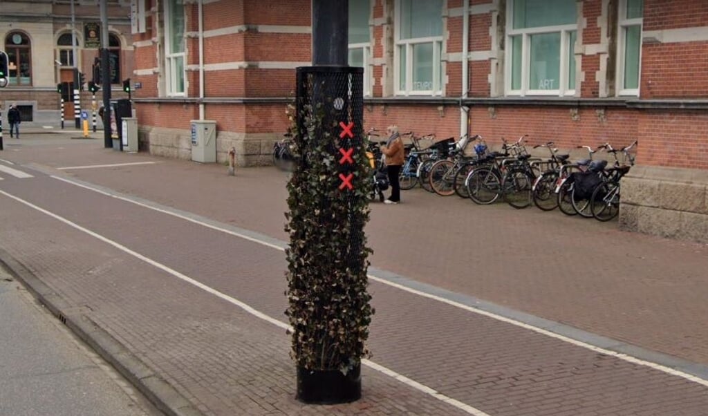 'Plantaarn´ in de Van Baerlestraat in Amsterdam-Zuid.