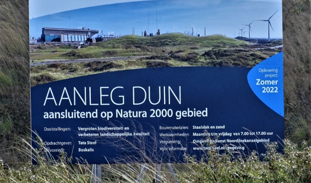 Kunstduin