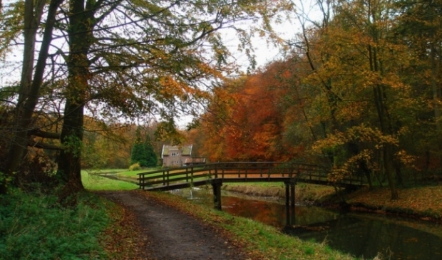 Middenduin in de herfst