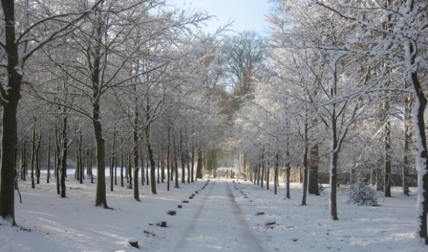 Winterbos