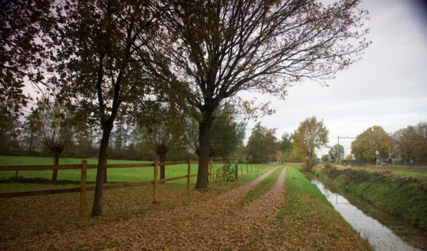 Oude en nieuwe natuur
