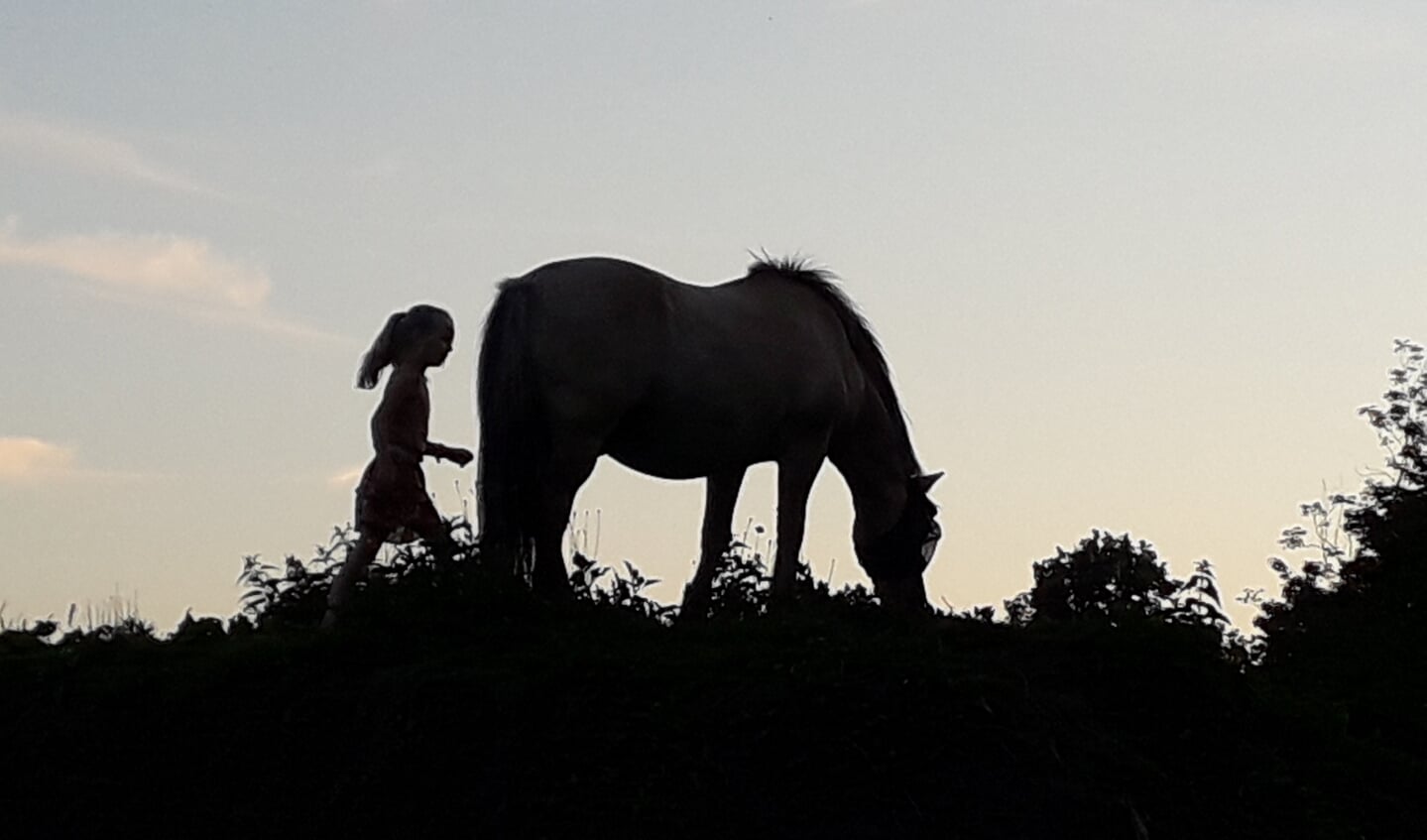 Kleindochter Ilse met 'haar' Fjordenpaard Sunor geniet van de vakantie thuis in Ederveen.”