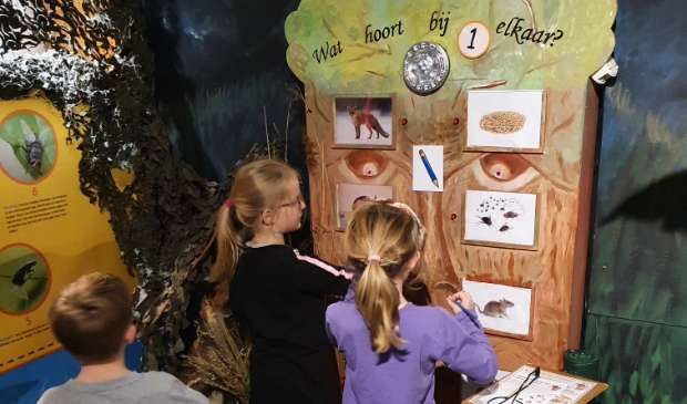 <p>De tentoonstelling 'Word zo slim als een vos'.</p>