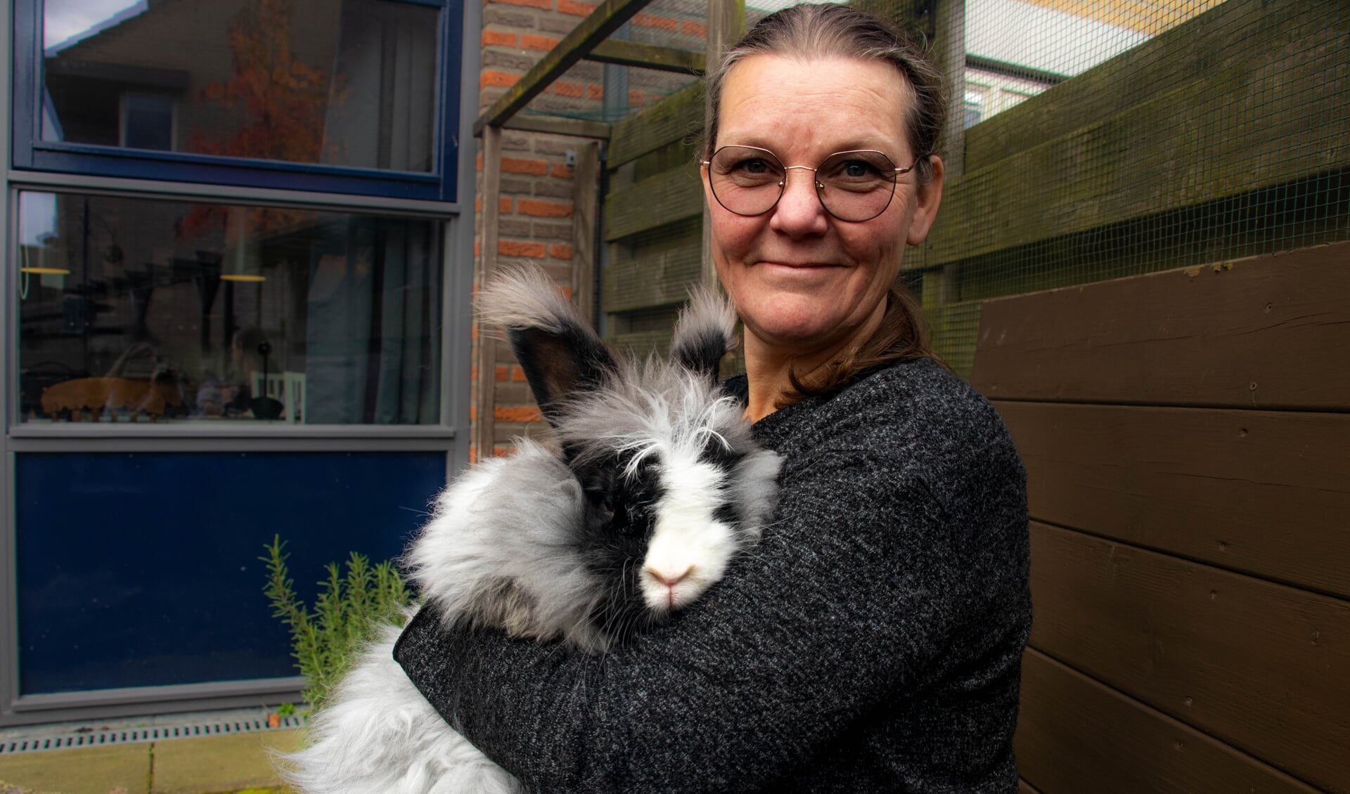 Ilse Pos: 'De grote vraag is: hoe krijgen we die konijnen uit de hobbysfeer?'