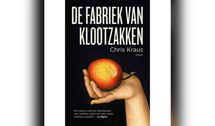 Afbeelding
