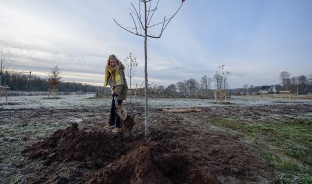 Annelies Vermeulen, klimaatburgemeester van Bunnik, plant een van de laatste bomen op het sedumveld. 