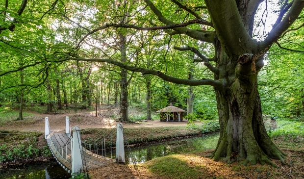 <p>Het huisje van Ka-buur is het beste voorbeeld van zo’n folly op Elswout. </p>
