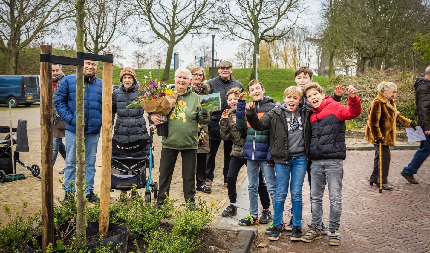 In de Bagijnewalstraat werden in december zeven lindebomen geplant