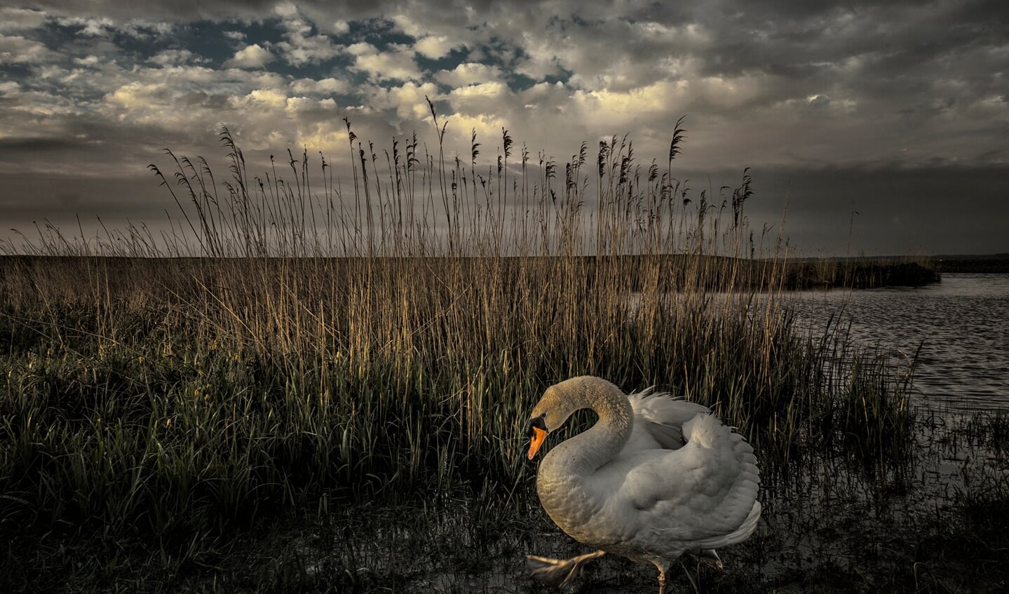 Eén van de vele foto's die te zien zijn in het fotoboek van Hung Hoang.