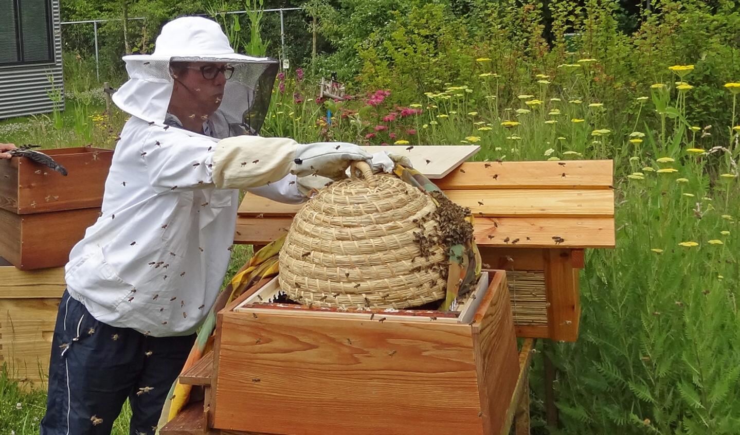 Monique Klemann: 'Het is leuk en mateloos interessant het leven van de bijen te volgen.' 