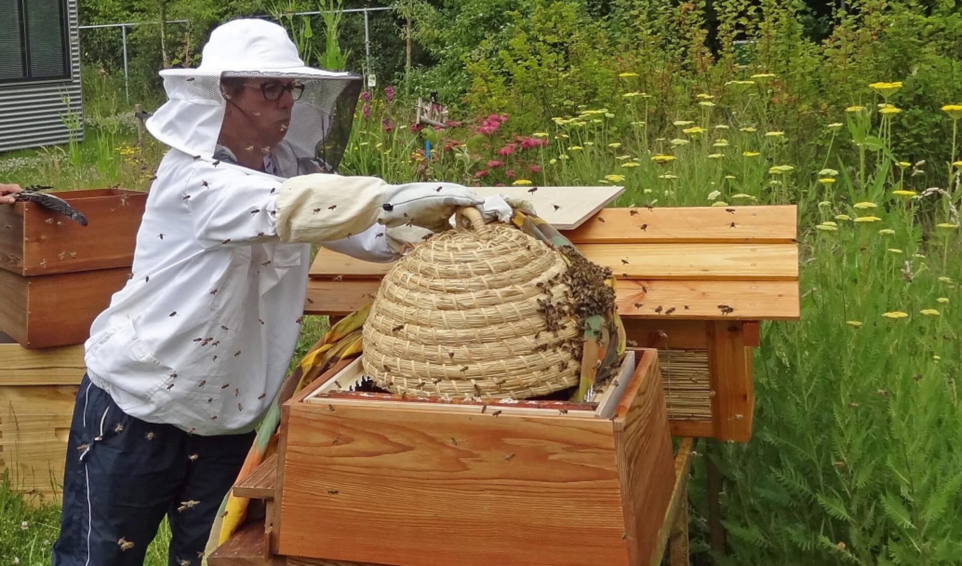 imker zet zwerm bijen op kast