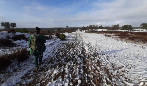 Wandelen door de sneeuw.