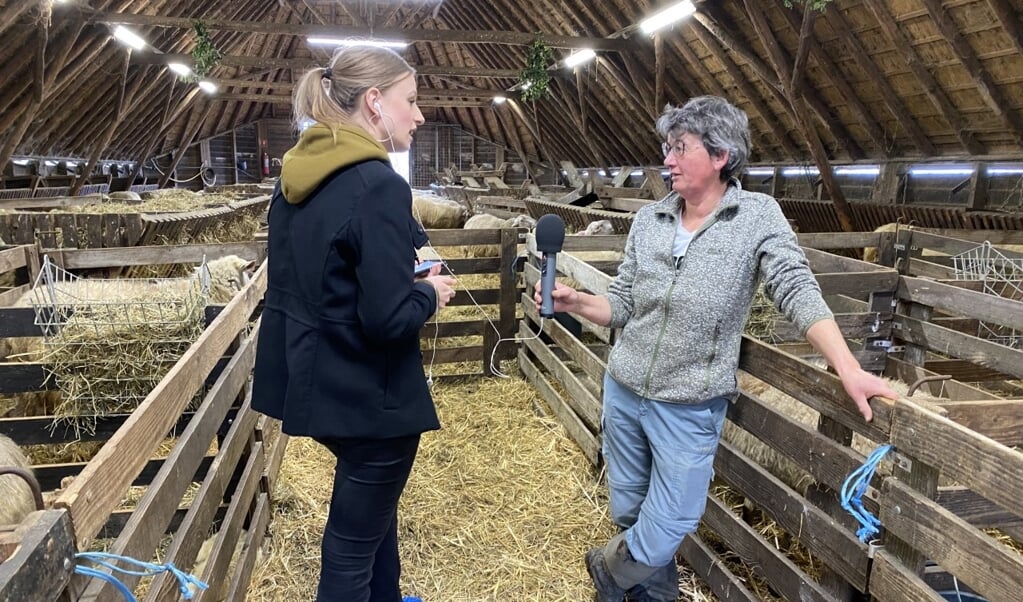 De Puttense Sarah Westphal interviewt schaapherder Marion Derks voor het radioprogramma Fris op NPO Radio 1.