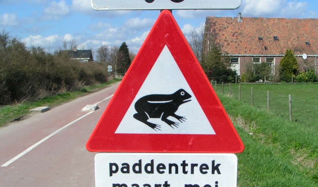 Waarschuwing voor padden