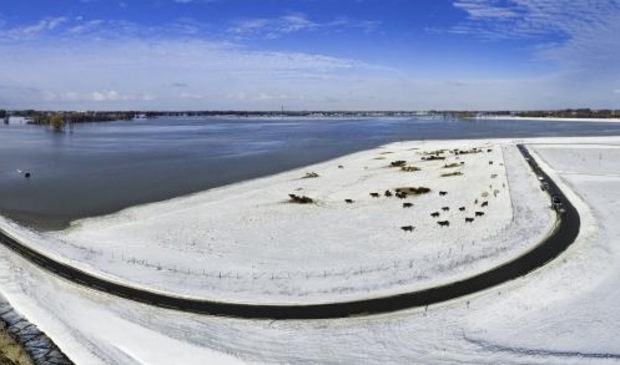Grazers op de Wakkere Dijk bij Poederoijen, nu het Munnikenland onder water staat.