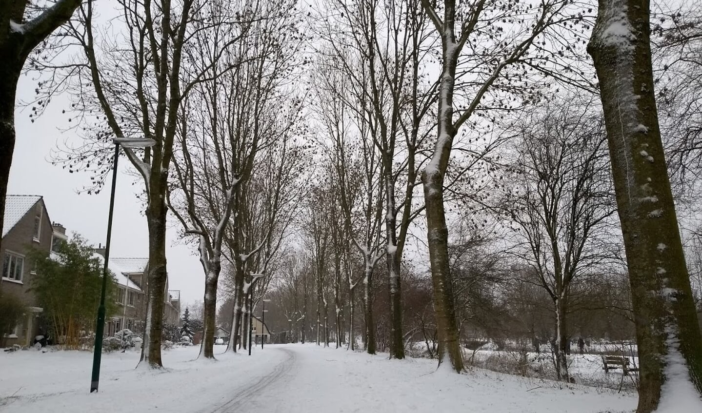 Sneeuwpret in Imkerspark