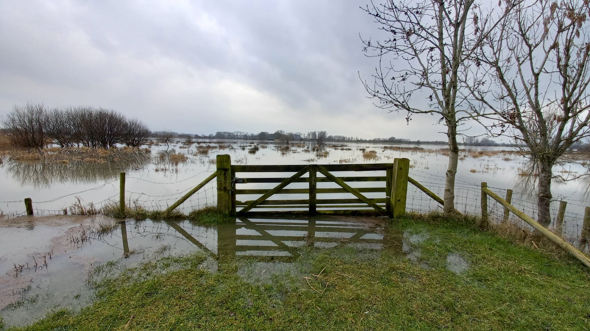 Uiterwaarden bij Schalkwijk onder water in 2021