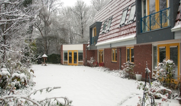 Onze fijne binnentuin.