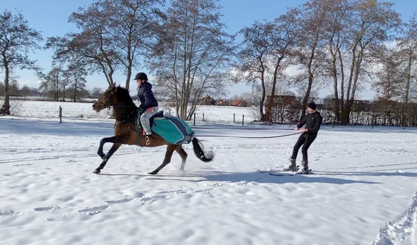 Manouk Korteweg met haar pony Capriolo Silber trekken haar zwager Gerjan van Essen op ski’s door het met sneeuw bedekte weiland.