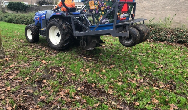 <p>Aan de William Boothlaan zijn bloembollen geplant in de grasstroken. Een van de ''groene ideeën' uit de eerste ronde.</p>