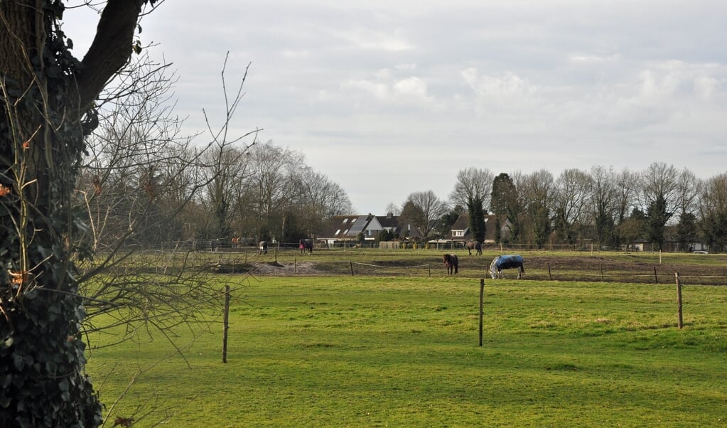 Aan de overzijde van het hek begint de 4,4 hectare weiland waarop Soest woningen wil gaan bouwen.