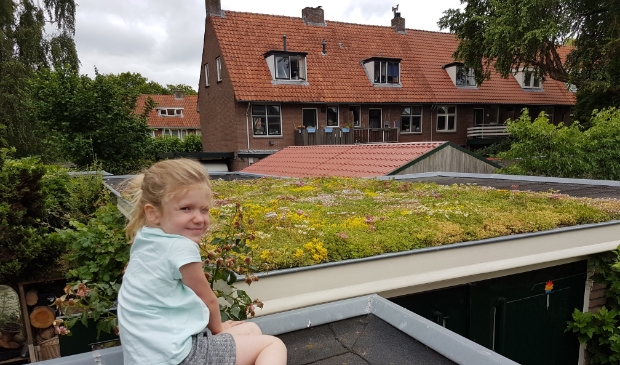 <p>In de provincie Utrecht ligt ongeveer 56 vierkante kilometer dak. </p>