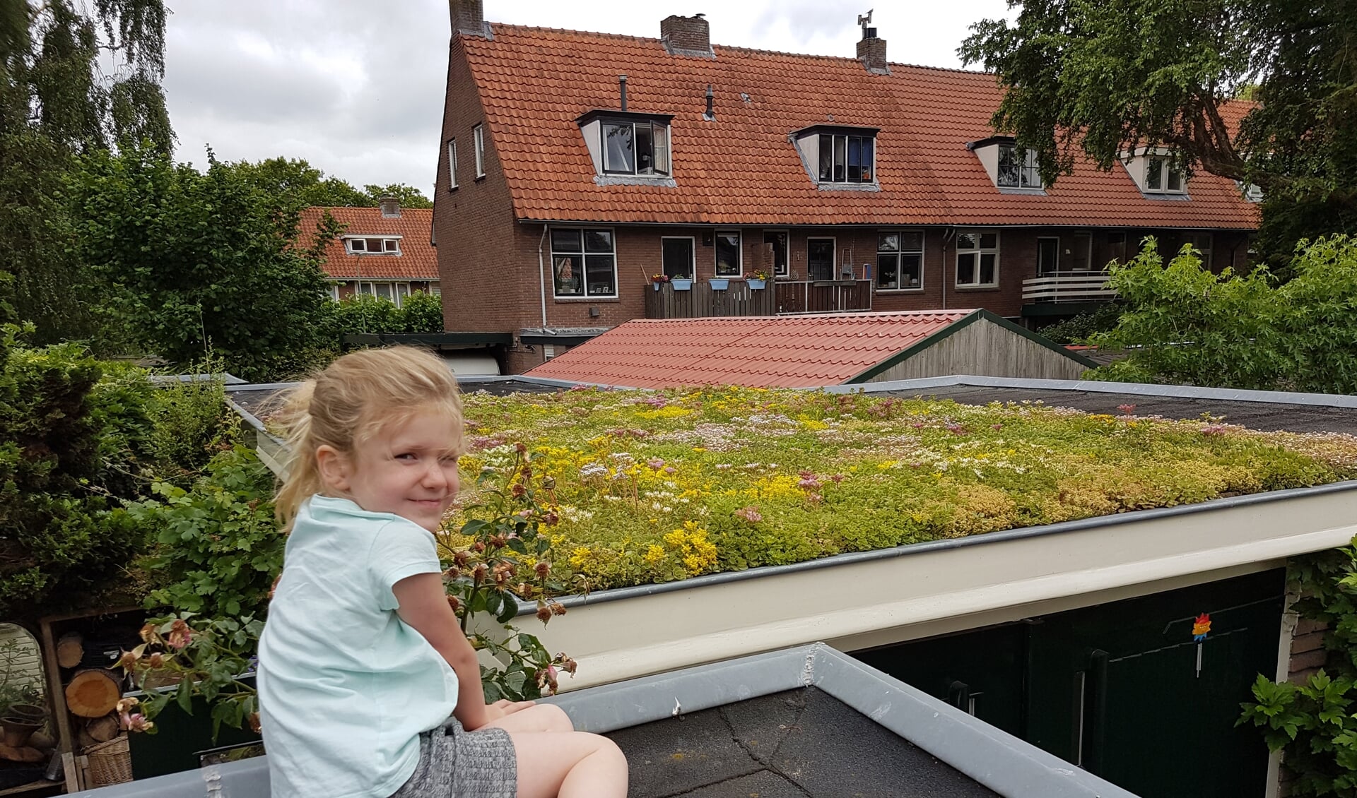 In de provincie Utrecht ligt ongeveer 56 vierkante kilometer dak. 