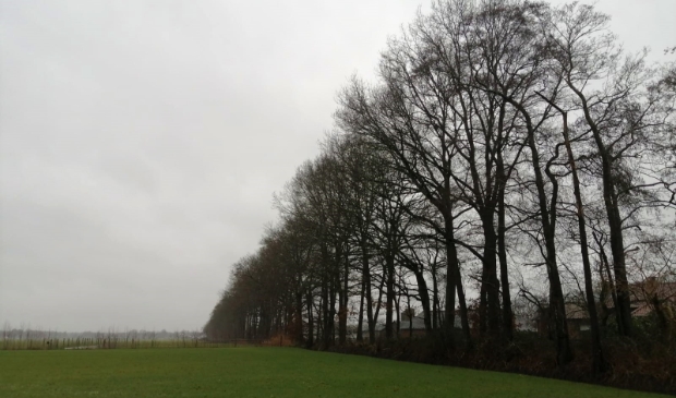 <p>Foto ter illustratie.</p>