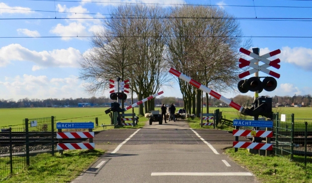 1 De Bomen gaan naar beneden, de Kudde wacht