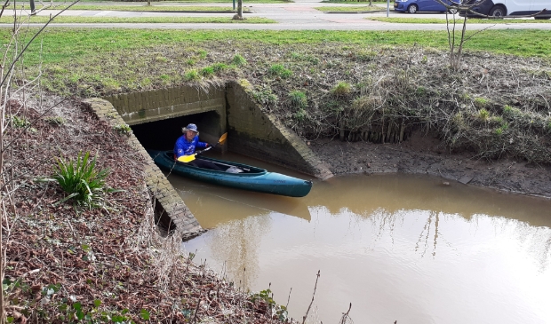 <p>Het water in de Kromme Rijn staat laag</p>
