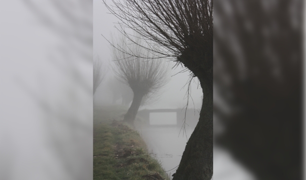 Misty Mill