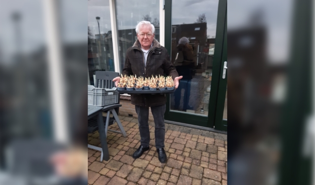 Vrijwilliger Jan Kamerman krijgt bakjes met narcissen om te bezorgen bij gasten van de Zonnebloem
