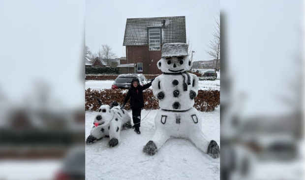 Sneeuwcreatie