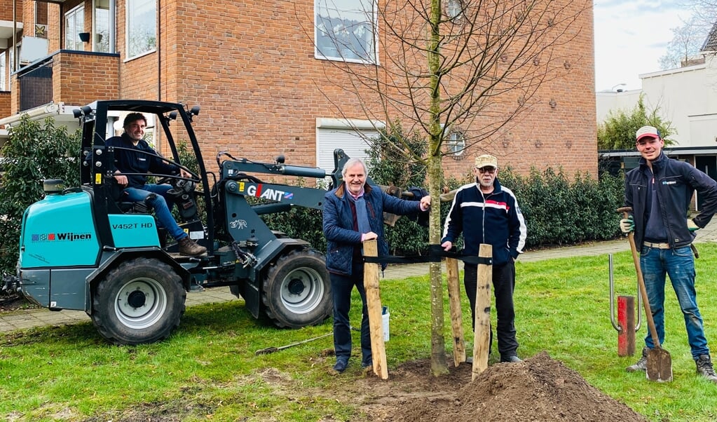 Plaatsing van een extra boom bij De Engh in het dorpscentrum onder toeziend oog van Rijk Nellestijn (Kunsthagen), THW-bestuurslid Bram Brinkman en het team van Wijnen Tuinen.