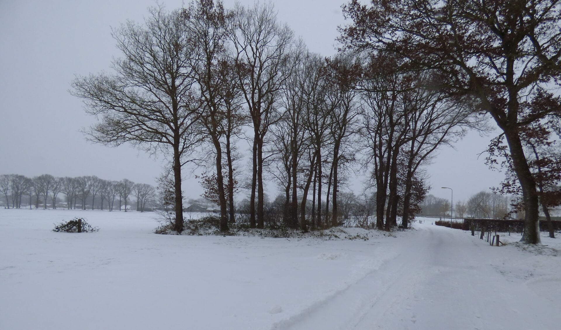 Winterlandschap in het buitengebied van Putten.
