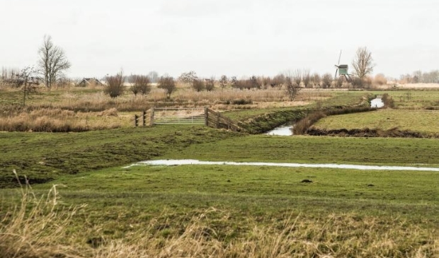 <p>De provincie hecht aan een open landschap</p>