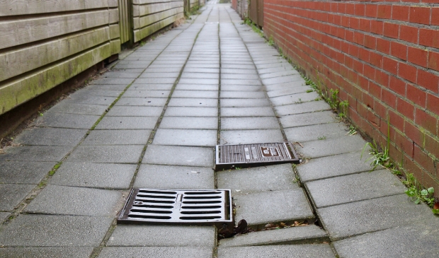 <p>Zo zien de meeste brandgangen in Getsewoud er uit. </p>