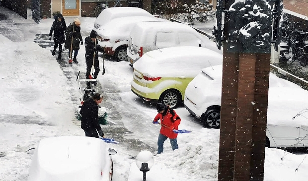 <p>Nederland werd zondagmorgen wakker in geheel witte wereld.</p>