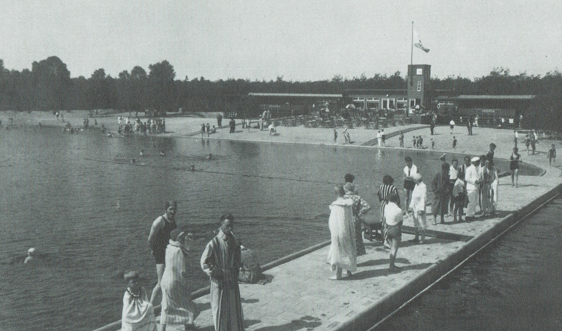 Lekker zwemmen in de zomer in Bad Woestduin. 