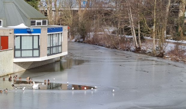 Kloostersingel