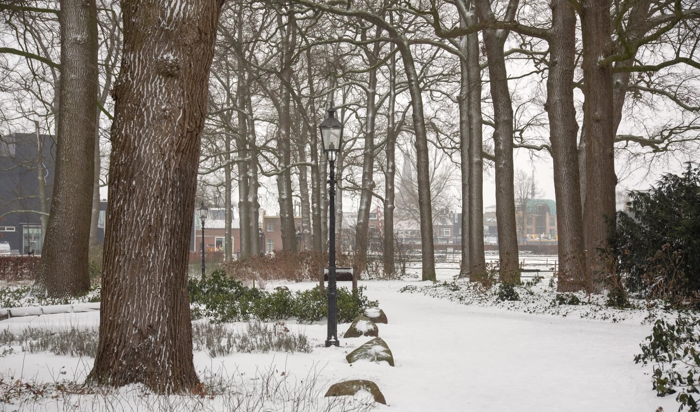 Dik pak sneeuw in Barneveld !